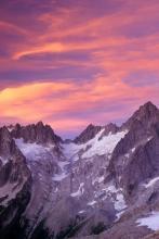 双面总裁情深不止