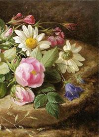 我的忍界有轮回笔趣阁