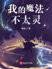 陆先生别惹我在线阅读